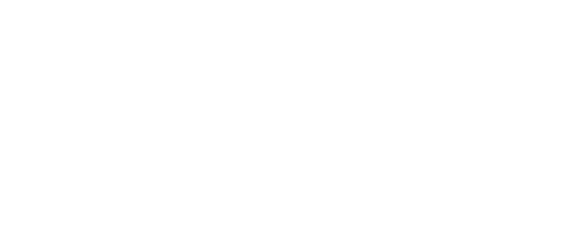 Verdun Dragon Boat Club logo