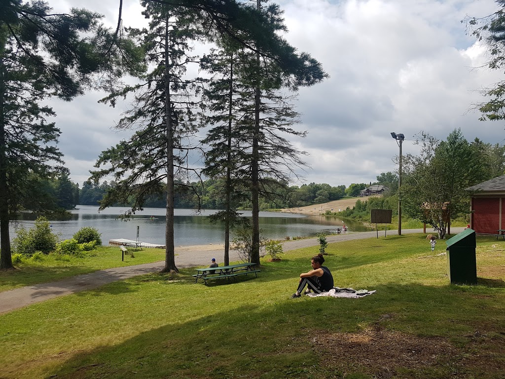 Training Verdun Dragon Boat Club