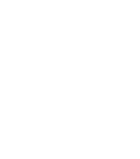 Verdun Dragon Boat Club icon